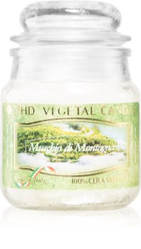 THD Vegetal Muschio Di Montagna illatos gyertya