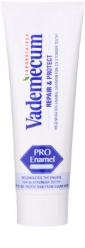 Vademecum Repair & Protect PRO Vitamin Pasta restauradora de esmalte dentário