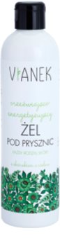 Vianek Energizing gel de duche refrescante com efeito hidratante