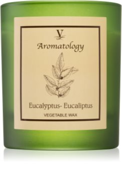 Vila Hermanos Aromatology Eucalyptus aроматична свічка