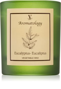 Vila Hermanos Aromatology Eucalyptus Tuoksukynttilä