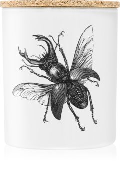 Vila Hermanos Insect Lucanus Cervus lumânare parfumată