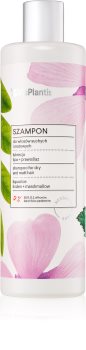 Vis Plantis Herbal Vital Care Liquorice šampon pro suché a matné vlasy