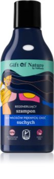Vis Plantis Gift of Nature Regenierendes Shampoo für trockenes Haar