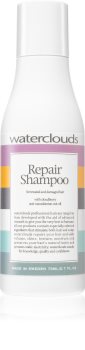 Waterclouds Repair Regenierendes Shampoo