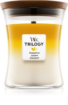 Woodwick Trilogy Fruits of Summer αρωματικό κερί μεσαίο
