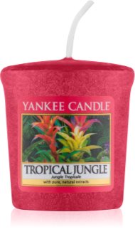 Bougie Votive Yankee Candle - Parfum Sauge Et Agrumes
