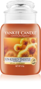 Yankee Candle Sun-Kissed Thistle vonná svíčka Classic velká
