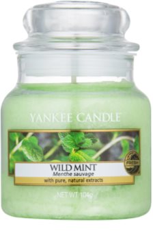 Yankee Candle Wild Mint vela perfumada Classic pequeña