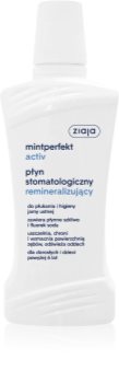 Ziaja Mintperfekt Activ οργανομεταλλικό στοματικό διάλυμα