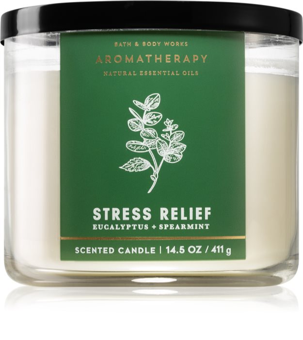 Bath & Body Works Aromatherapy Eucalyptus & Spearmint Bougie Parfumée I ...