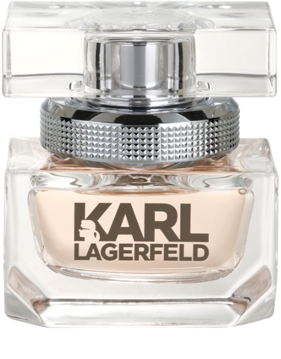 karl lagerfeld rn54163