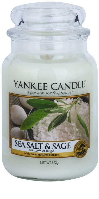 Yankee Candle Shea Butter Vela En Vaso Grande 623g – Aroma Dulce Y Picante, Quema 110-150 Horas