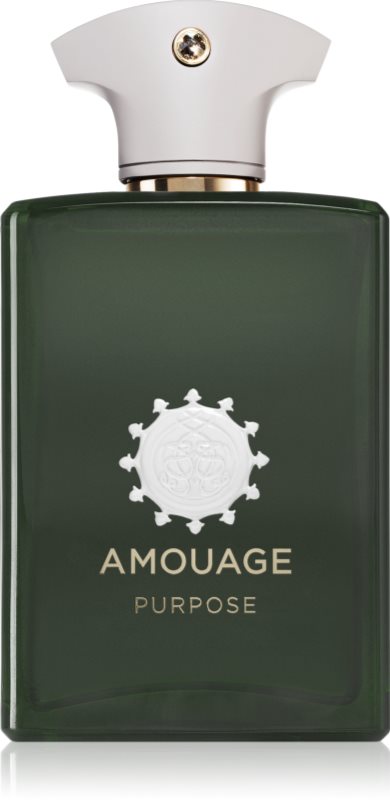 Amouage Purpose Eau de Parfum unisex 100 ml
