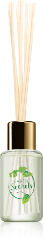 Ashleigh & Burwood London Earth Secrets Christmas Tree aroma difuzor cu rezervã 50 ml