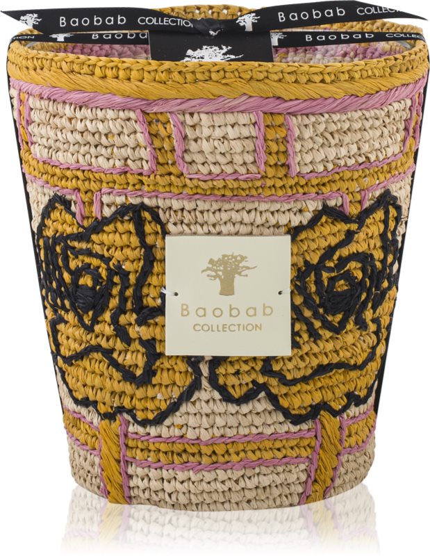 Baobab Collection Frida Draozy Diego lumânare parfumată 1000 g