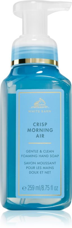 Bath & Body Works Crisp Morning Air Săpun lichid pentru mâini 259 ml