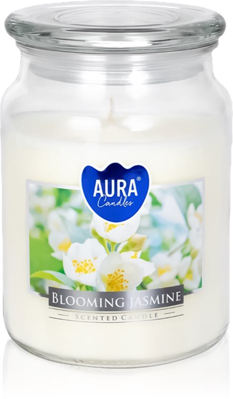 BISPOL Premium Line Jasmine lumânare parfumată 500 g
