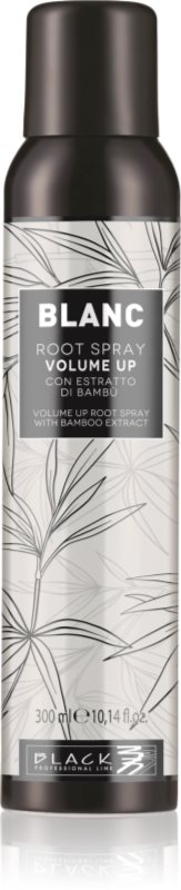 Black Professional Line Line Volume Up Root Spray spray pentru volum pentru par fin 300 ml