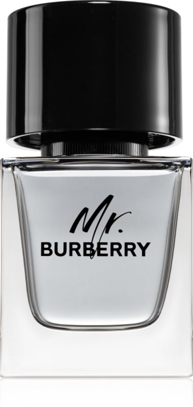Burberry Mr. Burberry Eau de Toilette pentru bărbați
