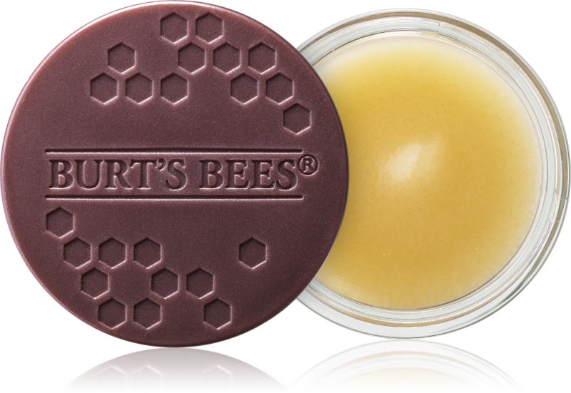 Burt’s Bees Lip Treatment tratament de noapte intensiv de buze 7.08 g