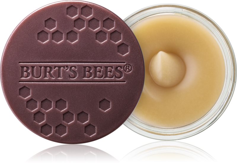 Burt’s Bees Lip Scrub Exfoliant pentru buze cu efect de nutritiv 7.08 g