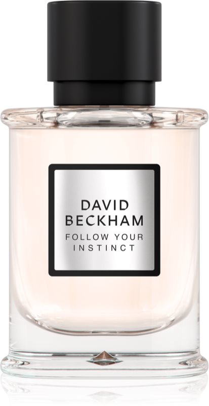 David Beckham Follow Your Instinct Eau de Parfum pentru bărbați 50 ml