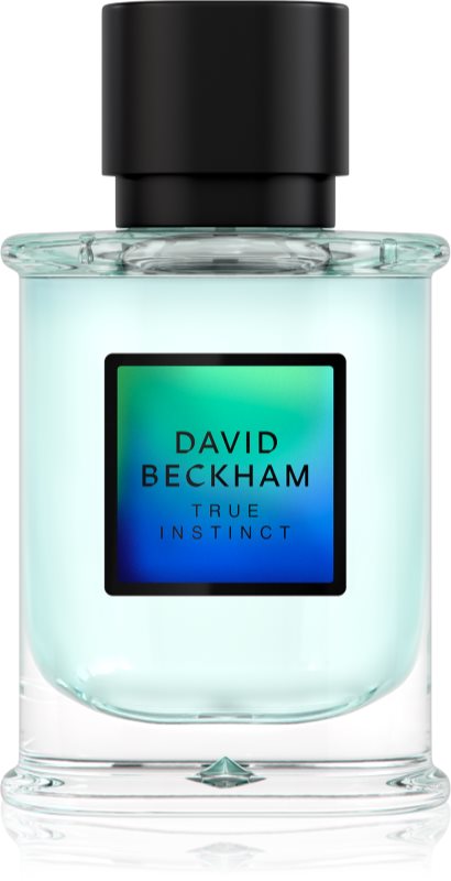 David Beckham True Instinct Eau de Parfum pentru bărbați