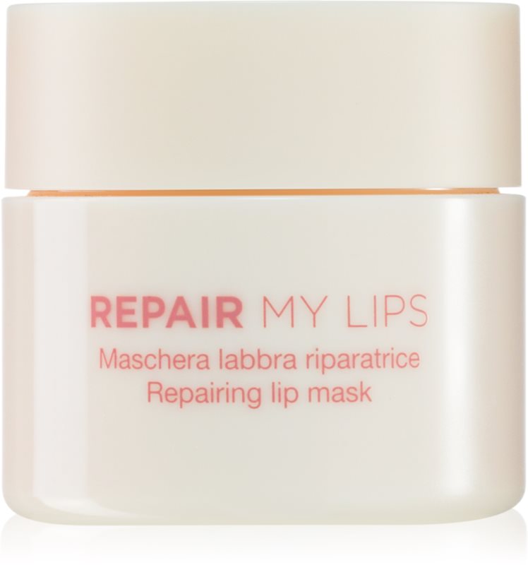 Diego dalla Palma REPAIR MY LIPS mască hidratantă pentru buze 25 ml