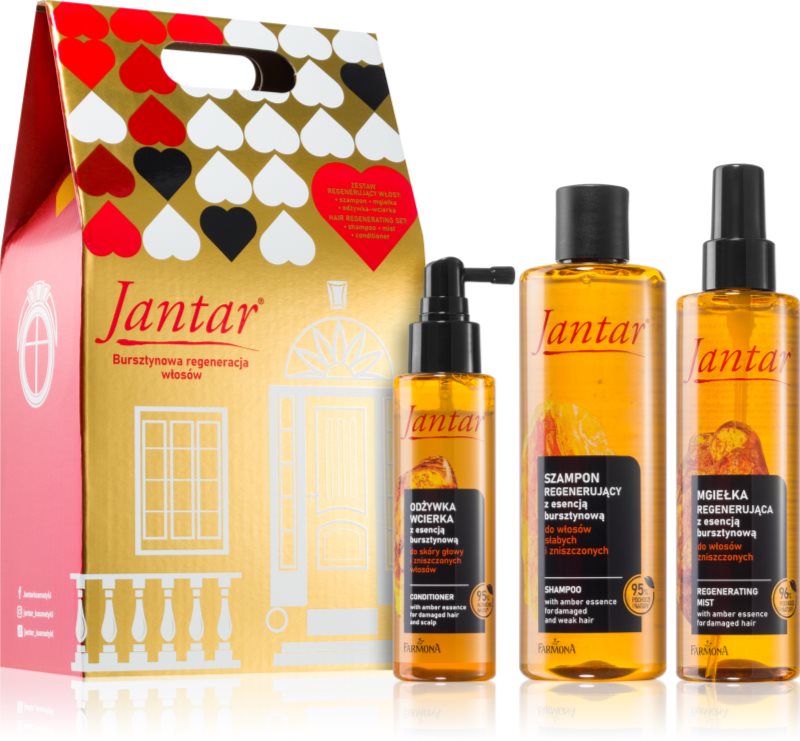 Farmona Jantar Damaged Hair set cadou pentru păr 3 buc