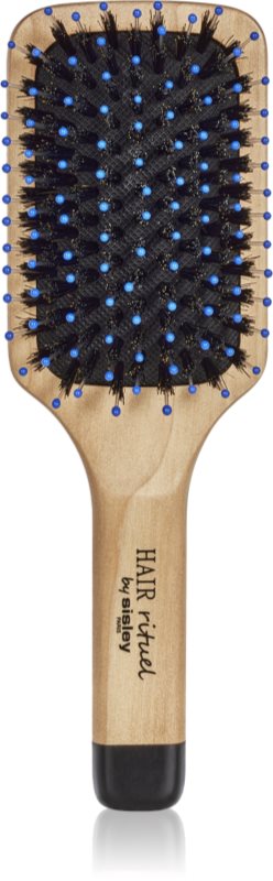Hair Rituel by Sisley The Pocket Brush Radiance & Softness perie pentru un par stralucitor si catifelat 1 buc