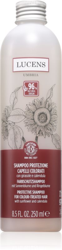 Kemon Group Shampoo Protezione șampon pentru protecția culorii 250 ml
