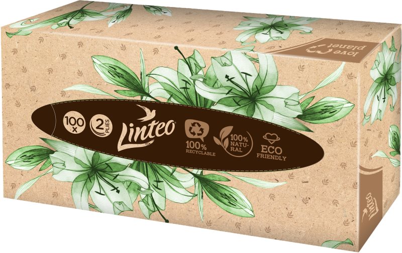 Linteo Paper Tissues Two-ply Paper, 100 pcs per box batiste de hârtie 100 buc