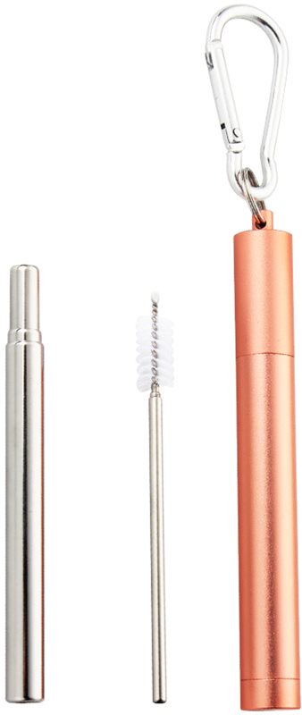 Naturalis Stainless Steel Straw Telescopic set pentru utilizarea de zi cu zi