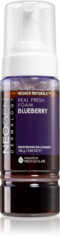 Neogen Dermalogy Real Fresh Blueberry crema hidratanta pentru curatare 160 g