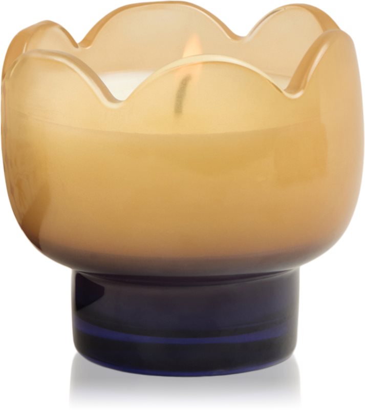 Paddywax Tulip Garden & Grove lumânare parfumată 155 g