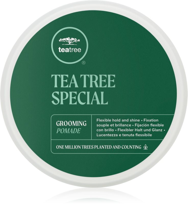 Paul Mitchell Tea Tree Special Grooming Pomade alifie pentru par pentru definire si modelare 85 g