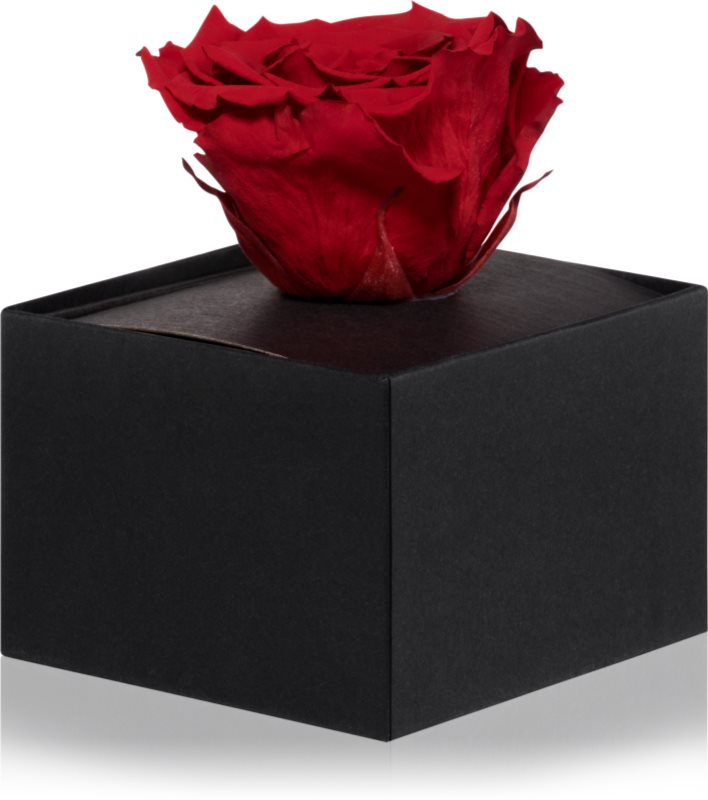 RoseAmor Red trandafir stabilizat în cutie 1 buc