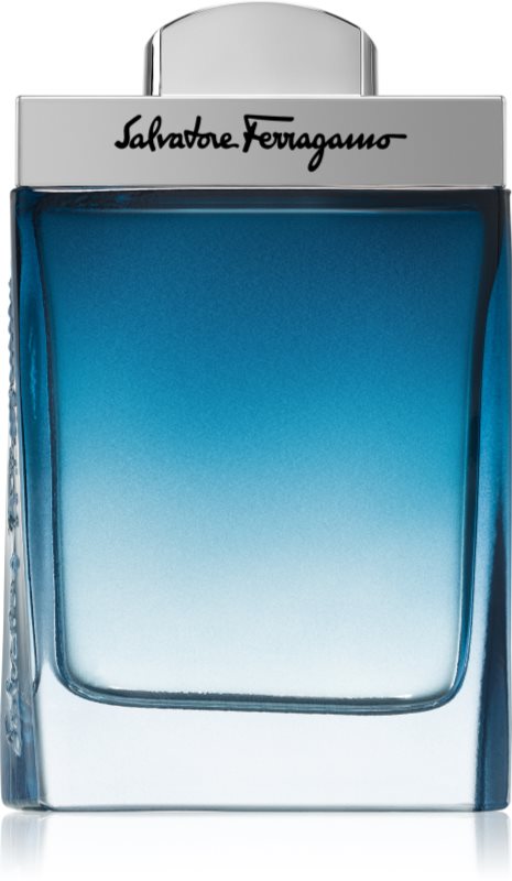 Ferragamo Subtil Pour Homme Eau de Toilette pentru bărbați