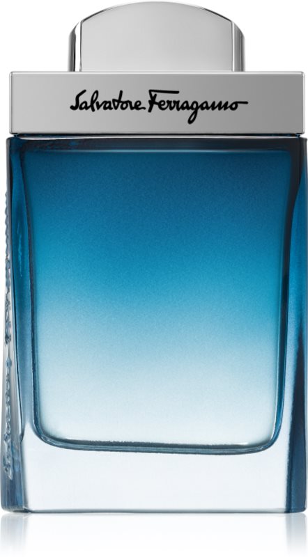 Ferragamo Subtil Pour Homme Eau de Toilette pentru bărbați 50 ml
