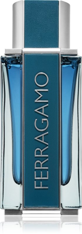 Ferragamo Ferragamo Intense Leather Eau de Parfum pentru bărbați 100 ml