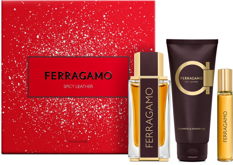 Ferragamo Spicy Leather set cadou pentru bărbați