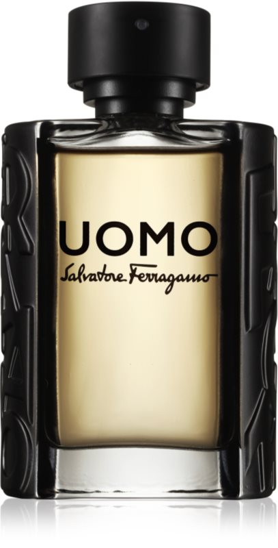 Ferragamo Uomo Eau de Toilette pentru bărbați 100 ml
