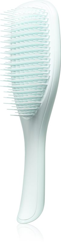 Tangle Teezer The Ultimate Detangler perie de tip paletă pentru par fragil Ice Blue 1 buc