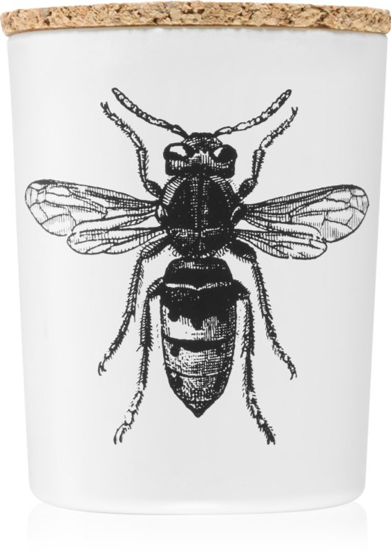 Vila Hermanos Insect Calabrone lumânare parfumată 75 g