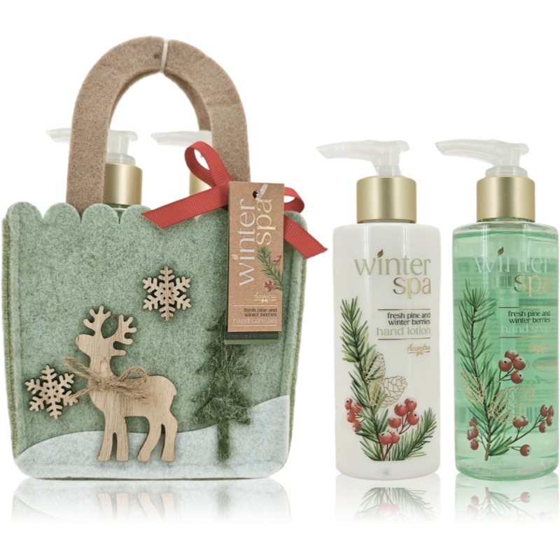 Accentra Winter Spa Hand Care Set set cadou de maini 1 buc