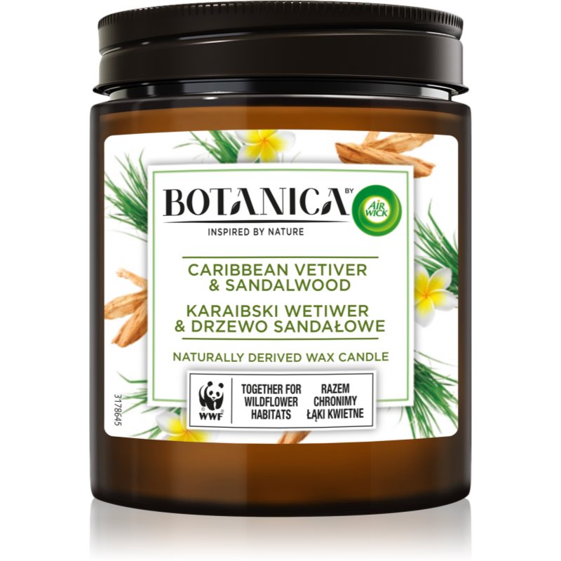 Air Wick Botanica Caribbean Vetiver & Sandalwood lumânare parfumată 205 g