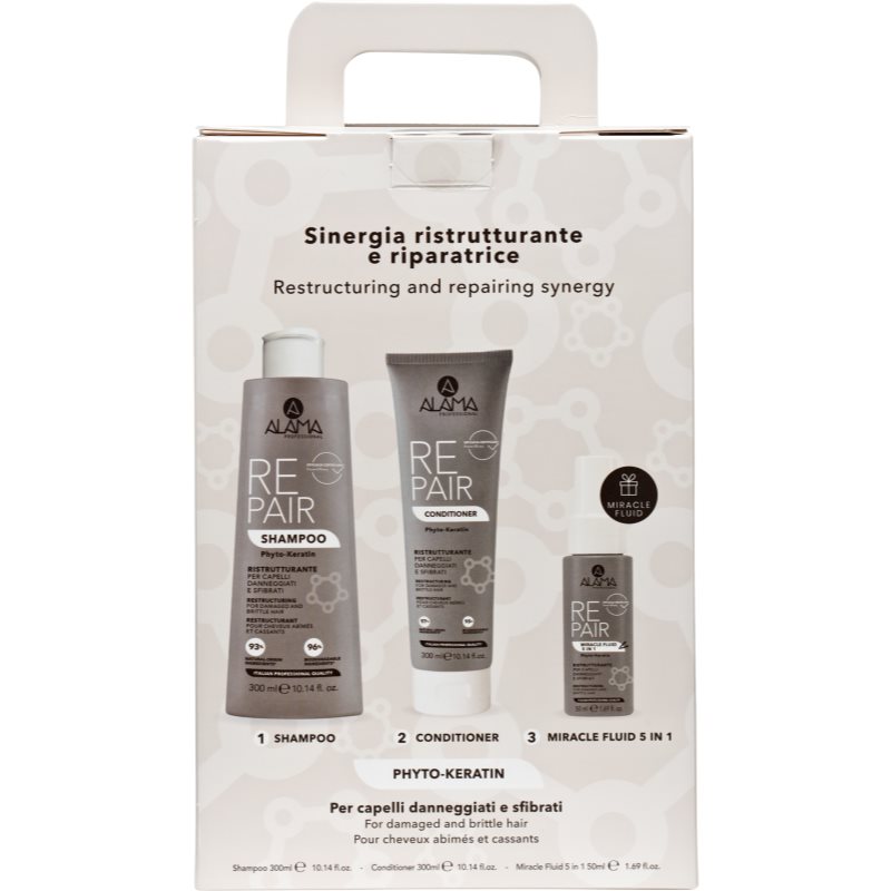 Alama Professional Repair Gift Box set cadou pentru par deteriorat
