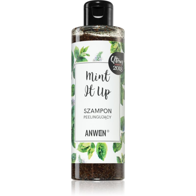 Anwen Mint It Up șampon exfoliant 200 ml