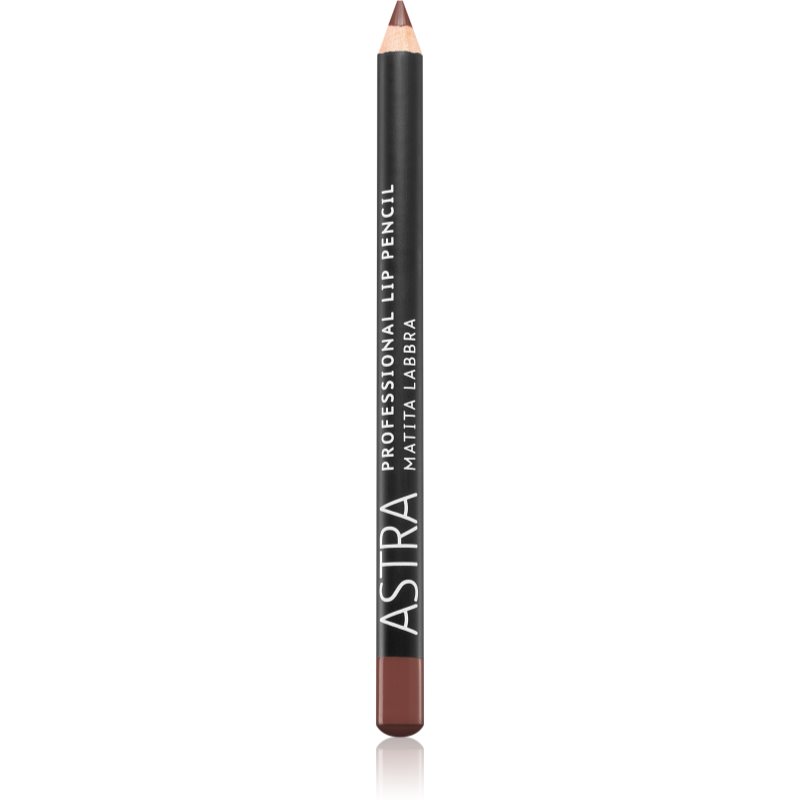 Astra Make-up Professional creion contur buze culoare 41 Wood 1,1 g
